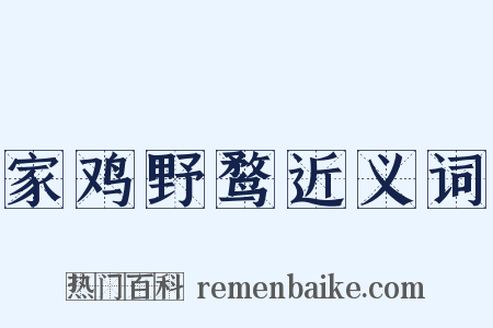 家鸡野鹜近义词是什么意思的图片